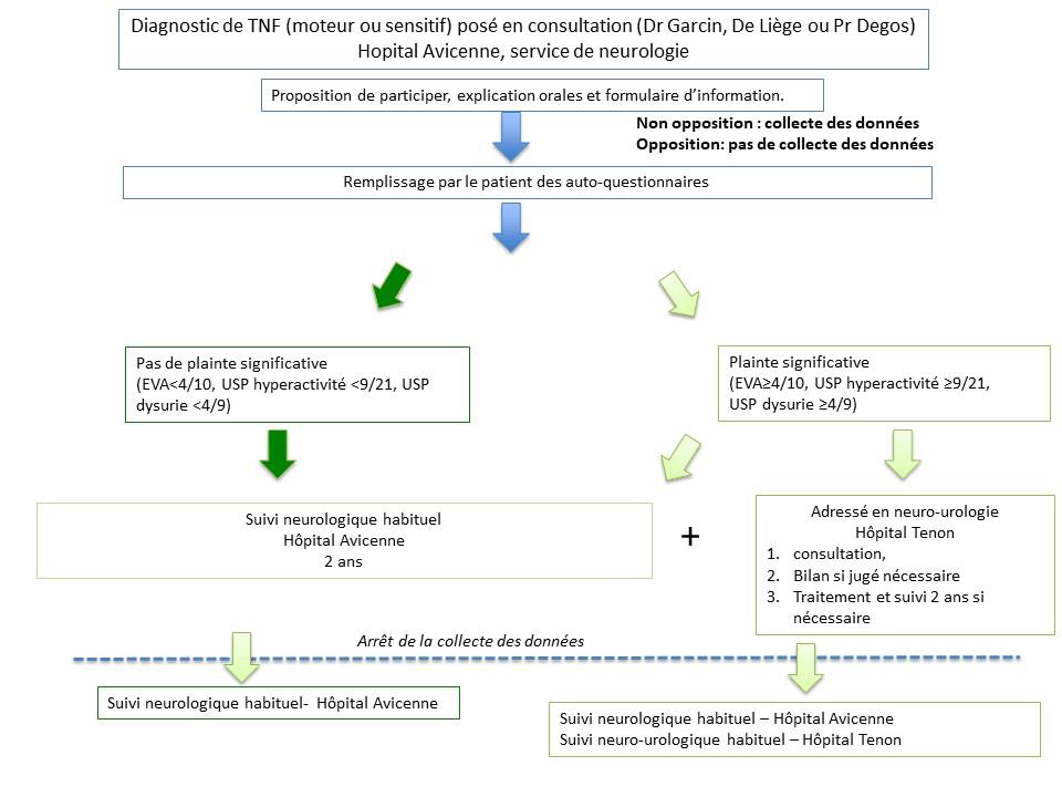 Schéma descriptif du déroulement de l'étude clinique URO-TNF